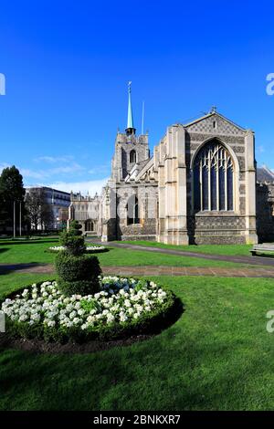 Vue printanière de la cathédrale de Chelmsford, Chelmsford City, comté d'Essex, Angleterre, Royaume-Uni Banque D'Images