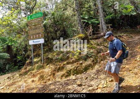 Amérique, Caraïbes, grandes Antilles, République dominicaine, Jarabacoa, Manabao, Parque Nacional José Armando Bermúdez, Pico Duarte, randonneurs passent la fourche dans la route El Cruce dans la descente de Pico Duarte Banque D'Images