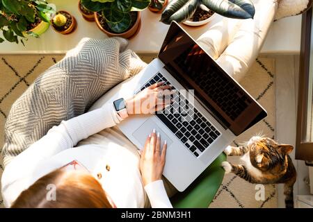 Femme assise sur un fauteuil et mettant vos pieds sur le rebord de la fenêtre, travaille sur ordinateur portable à la maison pendant l'auto-isolation, chat à proximité veut l'attention et d'être Banque D'Images