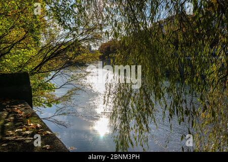 Europe, Allemagne, Bavière, Munich, vue sur l'Isar dans le jardin anglais un après-midi ensoleillé Banque D'Images