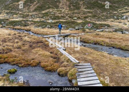 Europe, Autriche, Tyrol, Alpes de Stubai, Sellrain, Saint Sigmund im Sellrain, randonnées de garçons à travers la lande dans la vallée du Gleirschtal Banque D'Images