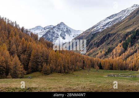 Europe, Autriche, Tyrol, Alpes de Stubai, Saint Sigmund im Sellrain, vue sur les montagnes automnales de l'Alm de Schärmer à Haggen im Sellrain Banque D'Images