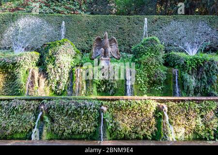 Un aigle d'Este parmi les becs des cent Fontaines, Villa d'Este, jardin de la Renaissance italienne, Tivoli, Italie Banque D'Images