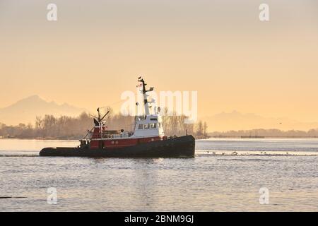 Bateau à vapeur tôt le matin. Un remorqueur part de l'eau calme du port Steveston, en Colombie-Britannique, au Canada, près de Vancouver. Banque D'Images