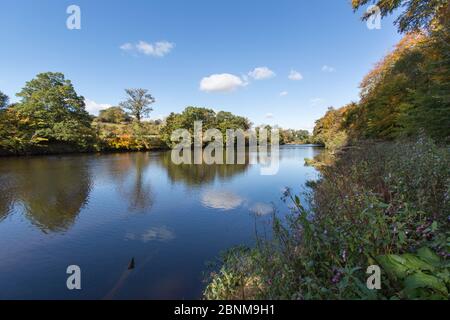 River Clyde, Bothwell, Écosse. Vue pittoresque sur la rivière Clyde, vue depuis la route de Clyde, près du château de Bothwell. Banque D'Images