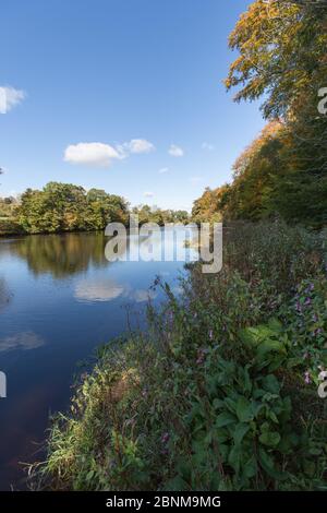 River Clyde, Bothwell, Écosse. Vue pittoresque sur la rivière Clyde, vue depuis la route de Clyde, près du château de Bothwell. Banque D'Images