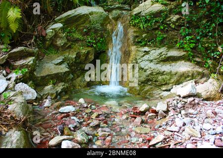 un filet de ruisseau froid entre la verdure et les pierres de brique rouge dans la faune Banque D'Images
