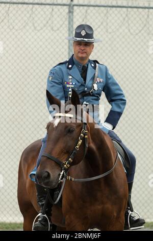 Portrait d'un officier de police du Massachusetts monté sur son cheval de sang chaud, pendant la compétition équestre de la police nationale américaine (NAPEC), à King Banque D'Images