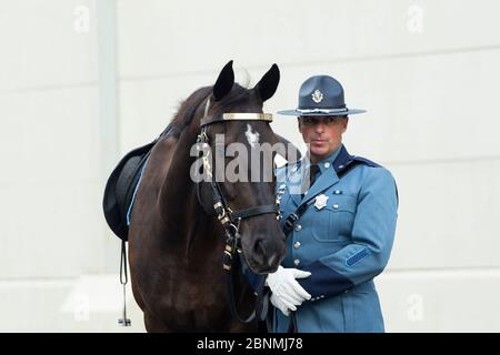 Portrait d'un policier monté et de son cheval de sang chaud, lors du Concours équestre de la police nationale américaine (NAPEC), à Kingston Penitent Banque D'Images