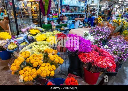 Bangkok / Thaïlande - 15 janvier 2020: Marché aux fleurs de Bangkok ce lieu connu sous le nom de ' Pak Khlong Talat 'en langue maternelle Banque D'Images