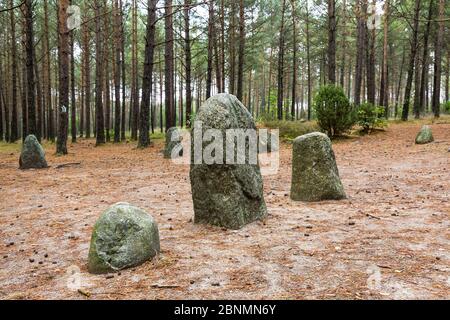 Europe, Pologne, Pomerania, Kashubia / Kaschubei - cercles de pierre mégalithique Banque D'Images