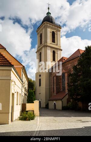 Europe, Pologne, Lubusz Voivodeship / Lubuskie / Ziemia Lubuska - Zielona Gora Banque D'Images