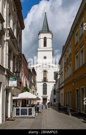 Europe, Pologne, Lubusz Voivodeship / Lubuskie / Ziemia Lubuska - Zielona Gora Banque D'Images