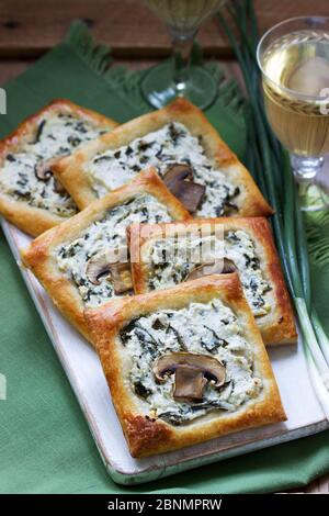 Choux au fromage, aux épinards et aux champignons, servis avec du vin et des oignons verts. Style rustique. Banque D'Images