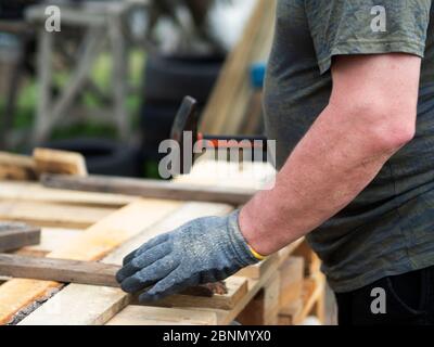 Mains d'un homme caucasien martelant un clou dans un tableau dans le jardin Banque D'Images