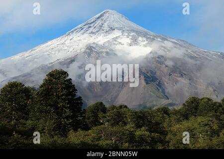 Volcan Lanin (volcan Lanin) avec une poussière de neige, entouré par la brume basse en automne à la frontière de l'Argentine et du Chili dans la Lanin et Villarrica Banque D'Images