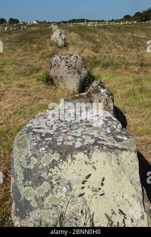 Pierres de Carnac dans l'alignement de Ménec (alignements de Ménec) près de la ville de Carnac dans le nord-ouest de la France Banque D'Images