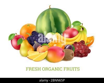 Ensemble de fruits frais divers isoler sur fond blanc Illustration de Vecteur