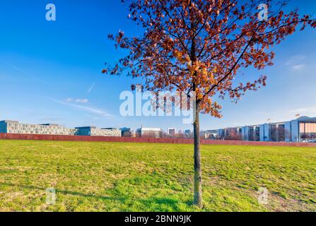 Spreebogenpark, murs en acier, coloration des feuilles, quartier du gouvernement, Berlin, Allemagne Banque D'Images