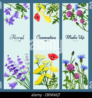 Bannières fleurs sauvages. Cadre floral avec place pour le texte différentes fleurs d'herbes aromatiques produits nature médecine vecteur images Illustration de Vecteur
