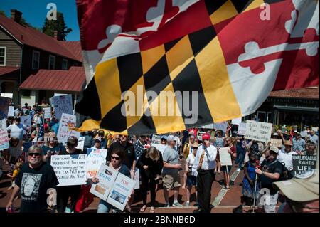 Annapolis, Maryland, États-Unis. 15 mai 2020. Des centaines de personnes assistent à une manifestation de réouverture dans le Maryland sur le terrain de l'État du Maryland à Annapolis, au Maryland, le vendredi 15 mai 2020. Le gouverneur du Maryland Larry Hogan met en œuvre la phase 1 du calendrier de reprise économique COVID-19 du Maryland à 17 h, heure normale de l'est aujourd'hui. (Photo de Rod Lamkey Jr./SIPA USA) crédit: SIPA USA/Alay Live News Banque D'Images