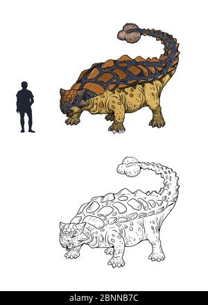 Ankylosaurus comparé à l'homme. Comparaison entre dinosaure et humain. Page de coloriage Dino. Banque D'Images