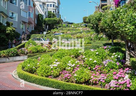 Lombard Street, San Francisco, California, USA Banque D'Images