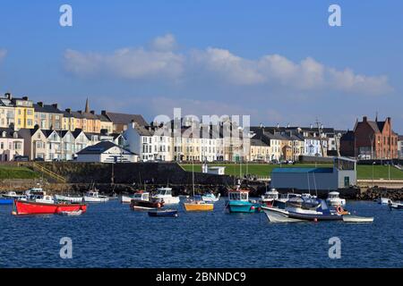 Port, Portrush, comté d'Antrim, l'Ulster (Irlande du Nord, l'Europe Banque D'Images