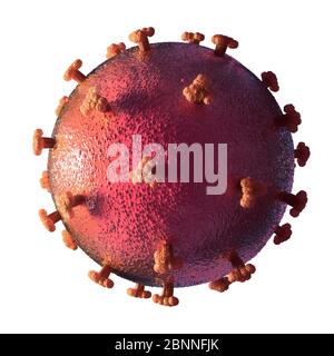 Illustration d'un coronavirus, la cause de la nouvelle maladie covid-19. Cette maladie a été détectée pour la première fois à Wuhan, en Chine, en décembre 2019. Elle est contagieuse et s'est depuis répandue rapidement dans le monde entier. La maladie provoque de la fièvre, de la toux et de l'essoufflement, et peut entraîner une pneumonie mortelle dans certains cas. Le COV-SRAS-2 est un virus à ARN qui utilise des pointes de protéines pour entrer dans les cellules hôtes. Banque D'Images