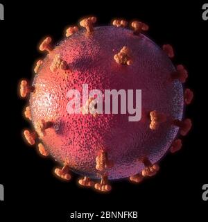 Illustration d'un coronavirus, la cause de la nouvelle maladie covid-19. Cette maladie a été détectée pour la première fois à Wuhan, en Chine, en décembre 2019. Elle est contagieuse et s'est depuis répandue rapidement dans le monde entier. La maladie provoque de la fièvre, de la toux et de l'essoufflement, et peut entraîner une pneumonie mortelle dans certains cas. Le COV-SRAS-2 est un virus à ARN qui utilise des pointes de protéines pour entrer dans les cellules hôtes. Banque D'Images