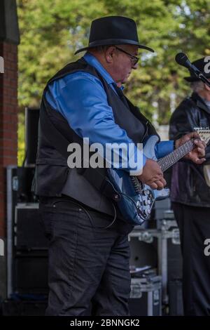 Chanteur senior et guitariste, en concert en plein air, portant un chapeau fedora et des lunettes de soleil. Banque D'Images