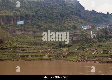 Fengdu, Chongqing, Chine - 8 mai 2010 : fleuve Yangtze. Paysage avec maisons de ferme en pierre brune et agriculture en terrasses sur la pente verte du rivage Banque D'Images