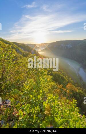 Point de vue Eichfelsen au lever du soleil, Oberes Donautal (vallée du Haut Danube), Beuron, Irndorf, Alb souabe, Jura souabe, Bade-Wurtemberg, Allemagne Banque D'Images