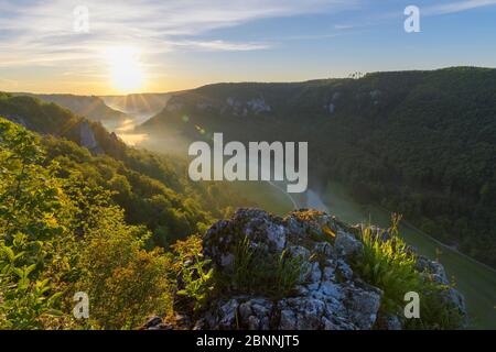 Point de vue Eichfelsen au lever du soleil, Oberes Donautal (vallée du Haut Danube), Beuron, Irndorf, Alb souabe, Jura souabe, Bade-Wurtemberg, Allemagne Banque D'Images