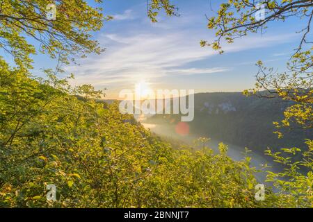 Point de vue Eichfelsen au lever du soleil, Oberes Donautal (vallée du Haut Danube), Beuron, Irndorf, Alb souabe, Jura souabe, Bade-Wurtemberg, Allemagne Banque D'Images