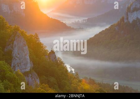 Point de vue Eichfelsen au lever du soleil, Oberes Donautal (vallée du Haut Danube), Beuron, Irndorf, Alb souabe, Jura souabe, Bade-Wurtemberg, Allemagne Banque D'Images