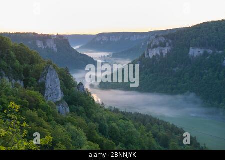 Point de vue Eichfelsen au lever du soleil, Oberes Donautal (vallée du Haut Danube), Beuron, Irndorf, Alb souabe, Jura souabe, Bade-Wurtemberg, Allemagne Banque D'Images