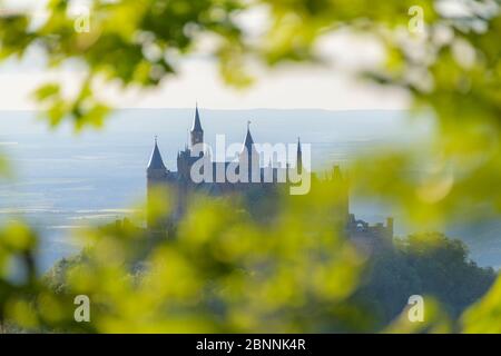 Burg Hohenzollern, vue depuis le mont Zeller Horn, l'Alb souabe, le Jura souabe, Bisingen, Bade-Wurtemberg, Allemagne Banque D'Images