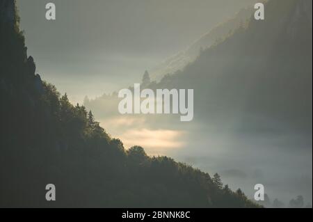 Point de vue Eichfelsen au lever du soleil, Oberes Donautal (vallée du Haut Danube), Beuron, Irndorf, Alb souabe, Jura souabe, Bade-Wurtemberg, Allemagne Banque D'Images