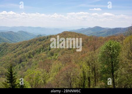 Newfound Gap, dans le parc national des Great Smoky Mountains, est un col de montagne offrant des vues et des vues panoramiques incroyables. Le sentier des Appalaches passe également par. Banque D'Images