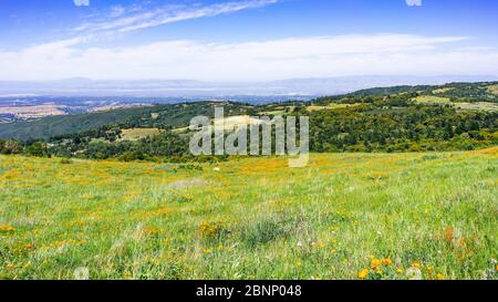 Prairies couvertes de fleurs sauvages et collines verdoyantes dans les montagnes de Santa Cruz ; Silicon Valley et le rivage de la baie de San Francisco Sud, visibles dans le backgr Banque D'Images