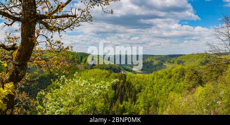 Panorama depuis Eichfelsen, Parc naturel du Haut-Danube, Jura souabe, Bade-Wurtemberg, Allemagne, Europe Banque D'Images