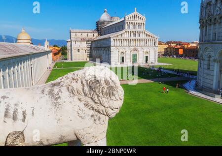 Campo dei Miracoli, vue du dessus, Pise, Toscane, Italie, Europe Banque D'Images