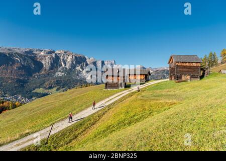 Hochabtei / Alta Badia, province de Bolzano, Tyrol du Sud, Italie, Europe. Ascension vers les prairies d'Armentara. À l'arrière, le groupe puez Banque D'Images