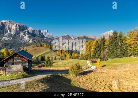 Hochabtei / Alta Badia, province de Bolzano, Tyrol du Sud, Italie, Europe. Ascension vers les prairies d'Armentara. Dans le dos le groupe Puez et le Peitlerkofel Banque D'Images