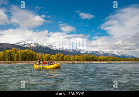 Les gens font du rafting sur la rivière Snake avec la chaîne de Grand Teton dans la neige et le parc national en arrière-plan dans l'État du Wyoming, aux États-Unis. Banque D'Images