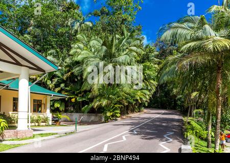 Entrée, Parc national de la Vallée de Mai, site classé au patrimoine mondial de l'UNESCO, Ile de Praslin, Seychelles, Banque D'Images