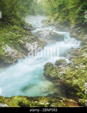 Rivière Radovna, gorge de Vintgar, Slovénie, Europe Banque D'Images