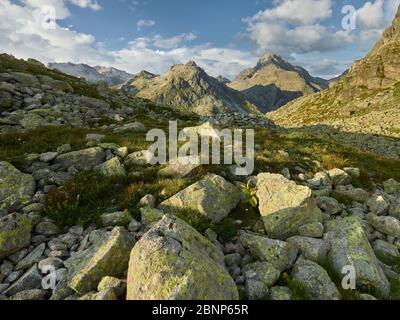 Col Julier, Piz Julier, Grisons, Suisse Banque D'Images