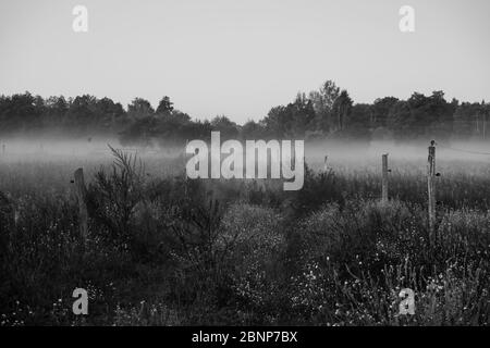 Brume sur un chemin entre deux pagayage Banque D'Images